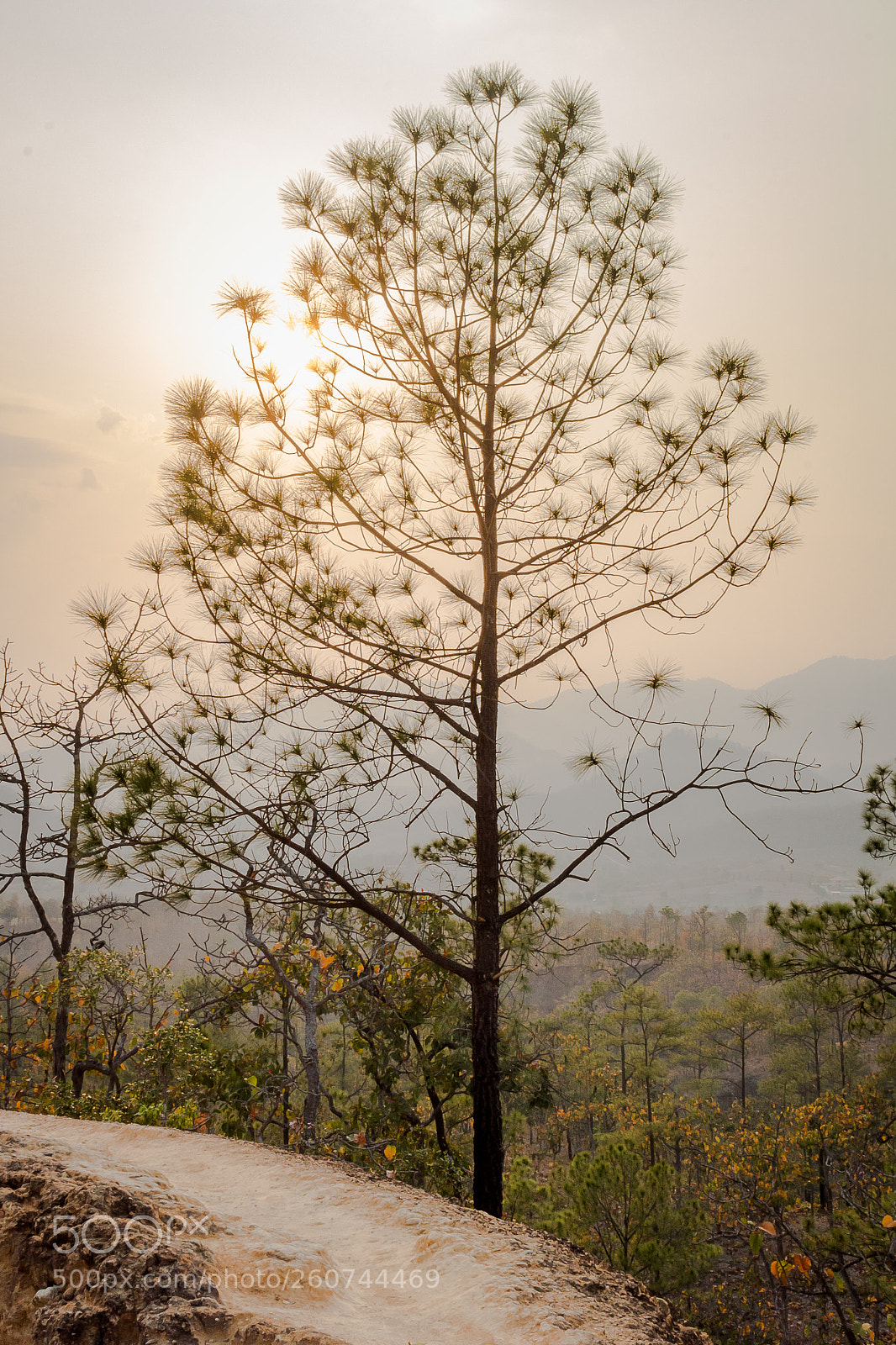 Canon EOS 700D (EOS Rebel T5i / EOS Kiss X7i) sample photo. Neature photography