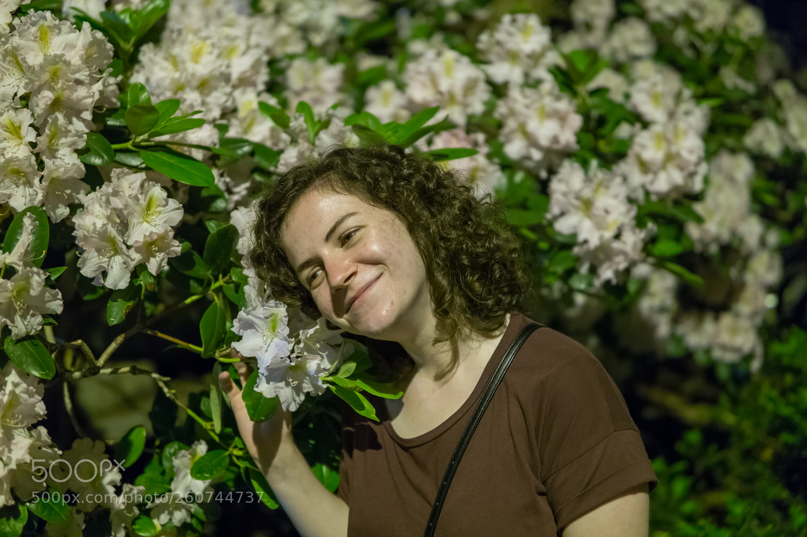 Sony a6000 sample photo. Dsc photography