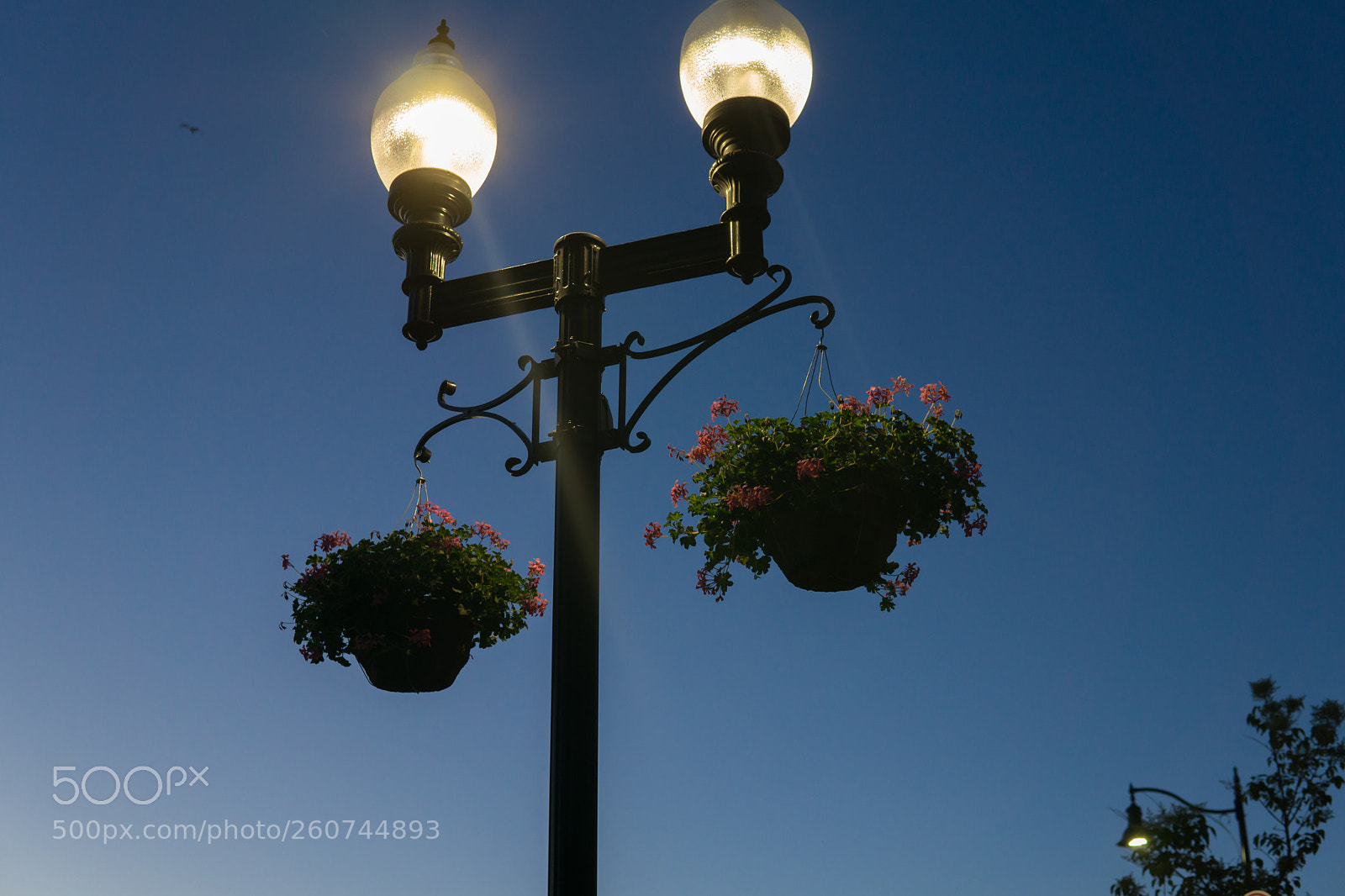 Sony a6000 sample photo. Dsc photography