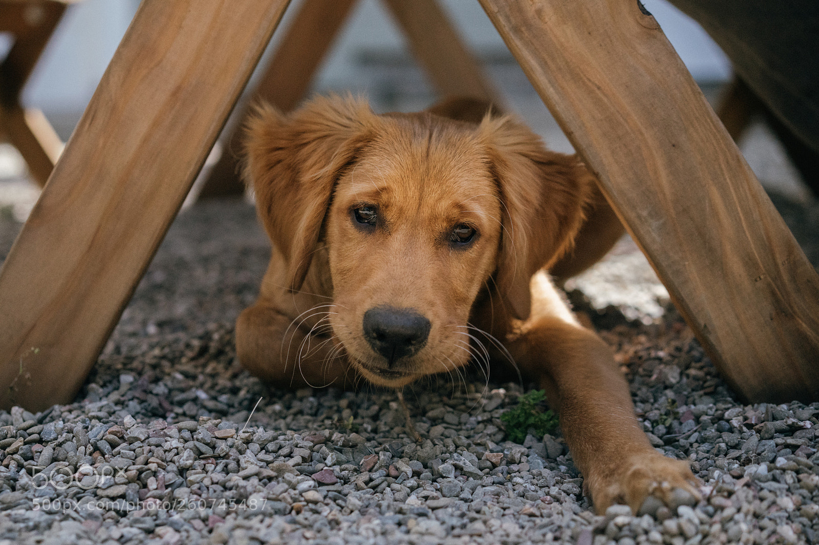 Sony a7R III sample photo. Bishop photography