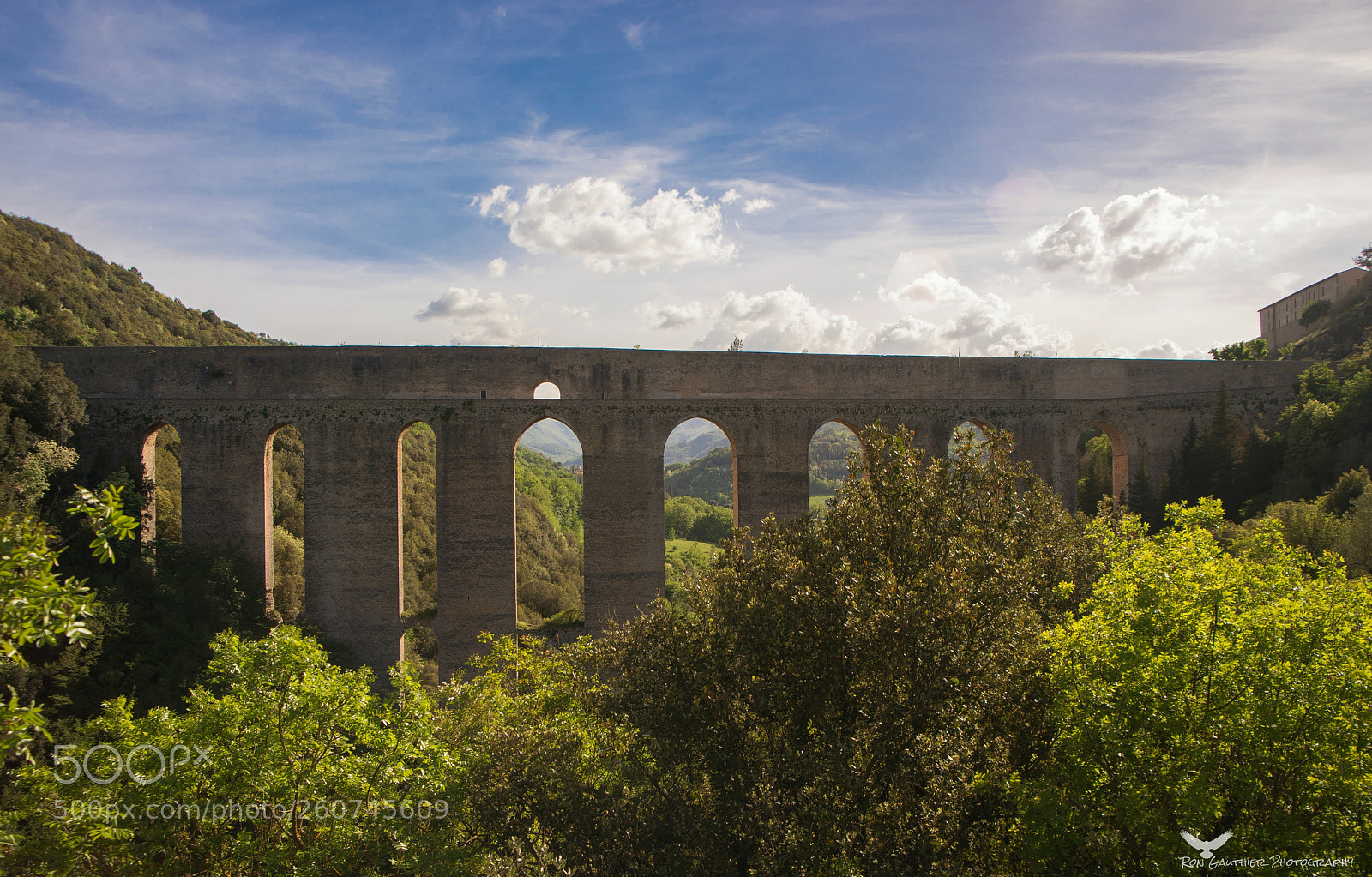 Nikon D610 sample photo. The ponte delle torri photography