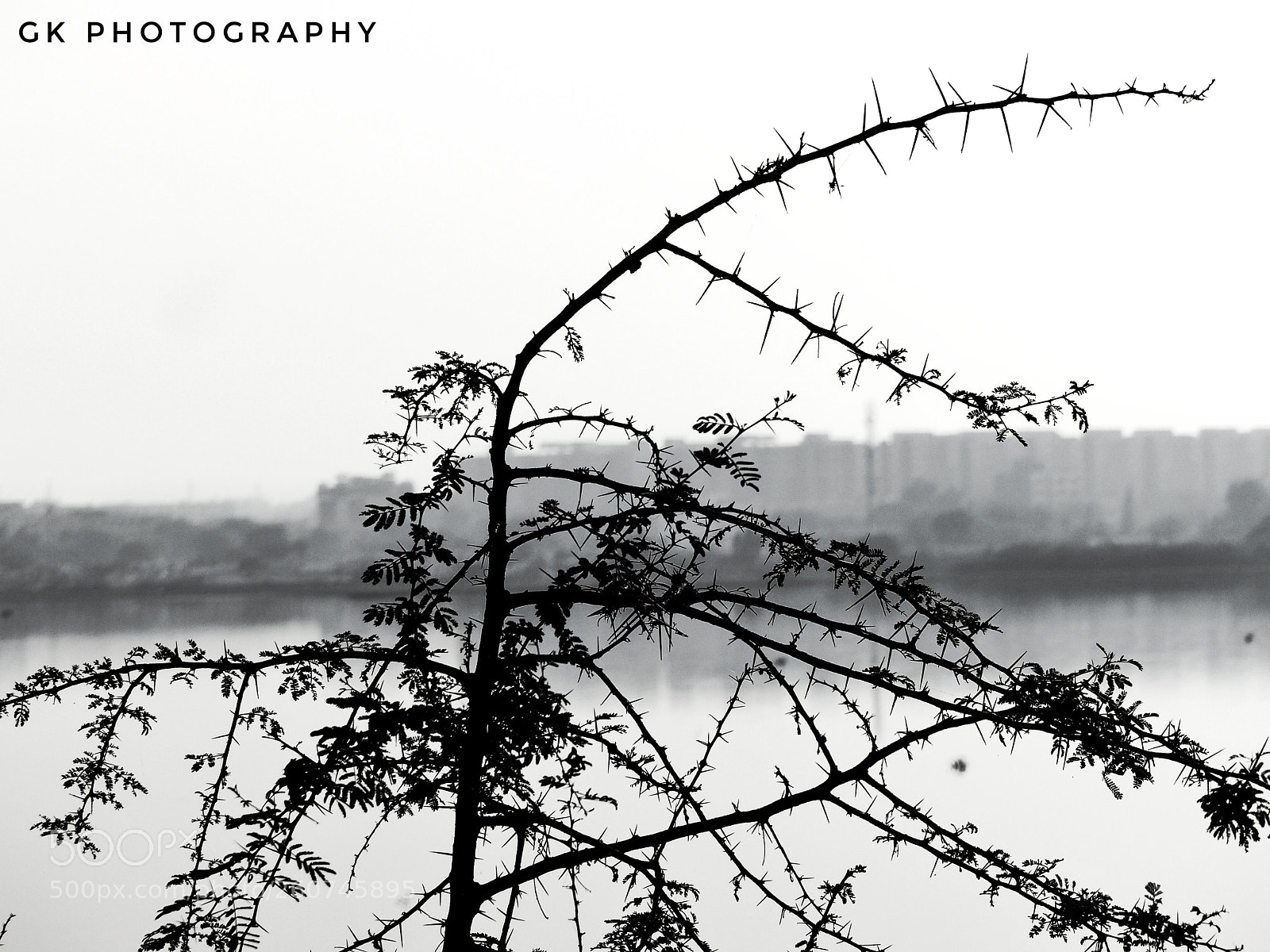 Panasonic Lumix DMC-FZ200 sample photo. Thons photography