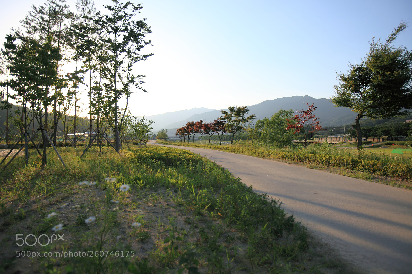 Canon EOS 5D Mark II sample photo. Hometown walk photography