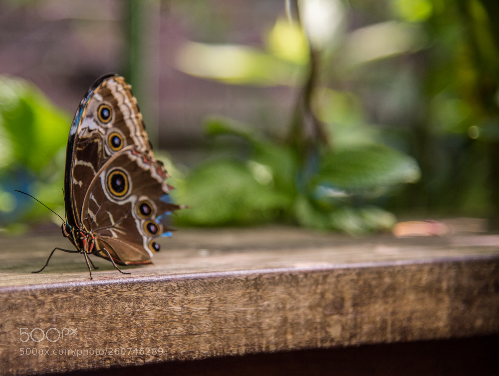 Nikon D750 sample photo. Boston: museum of science photography