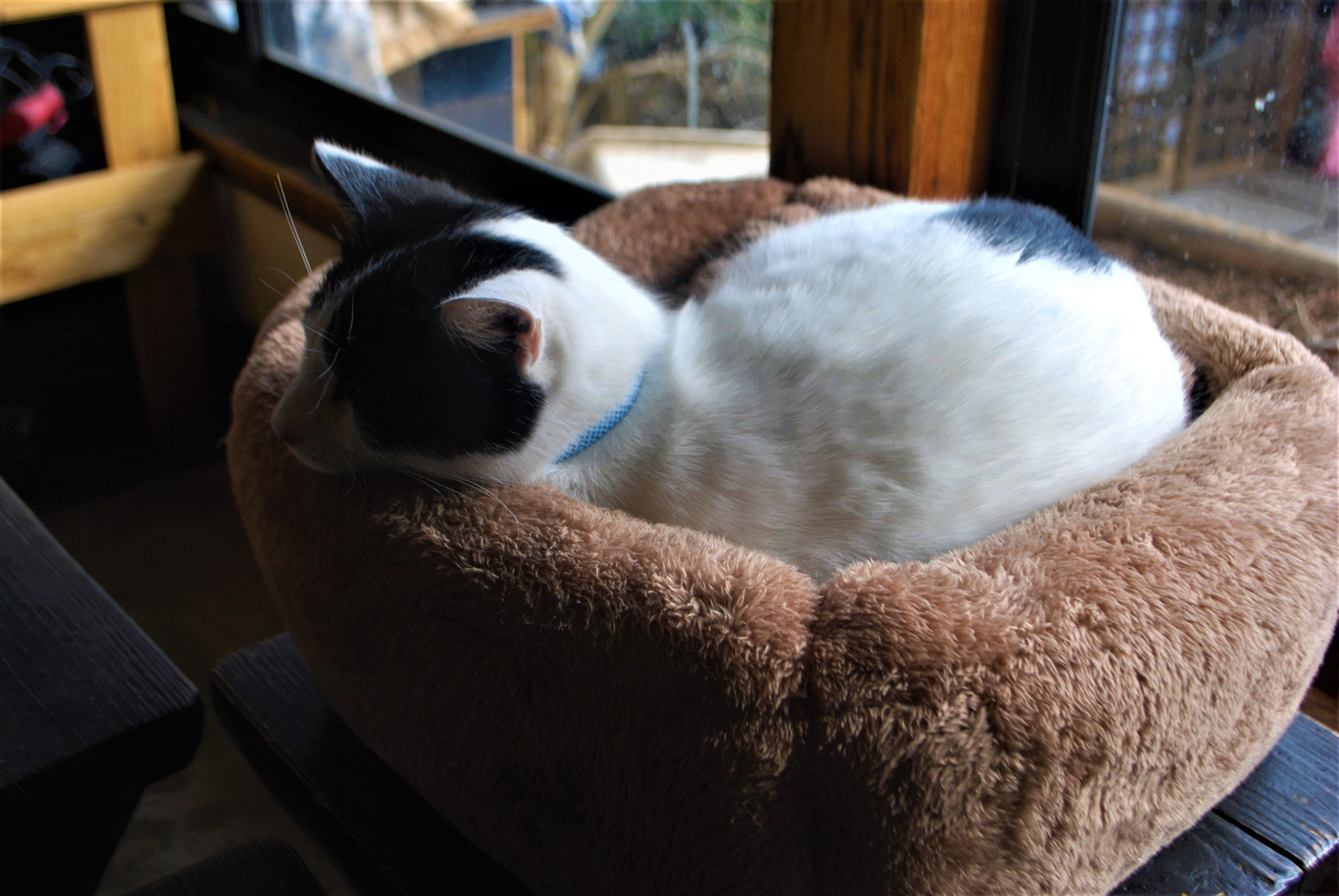 Nikon D60 sample photo. Don't disturb photography