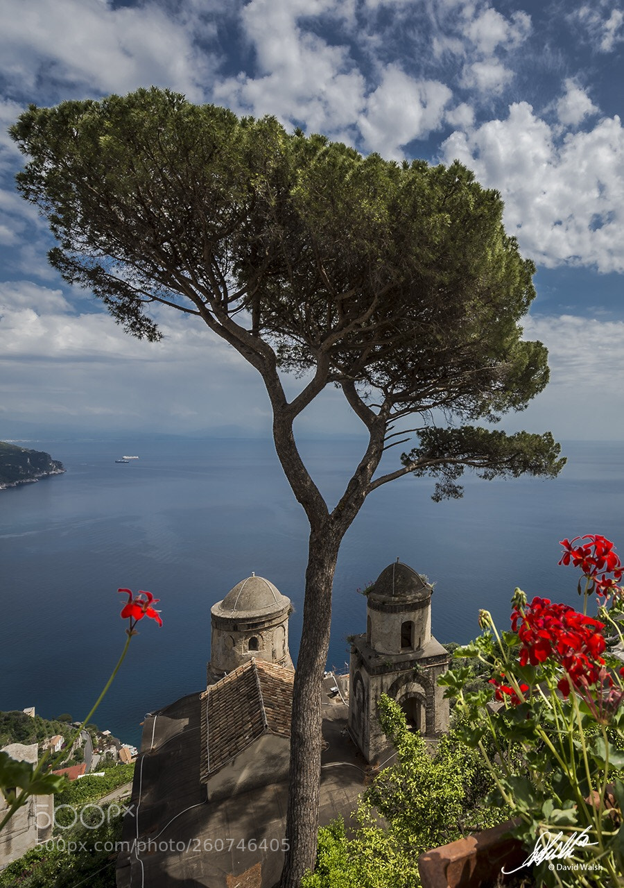 Nikon D4S sample photo. Ravello, italy  photography