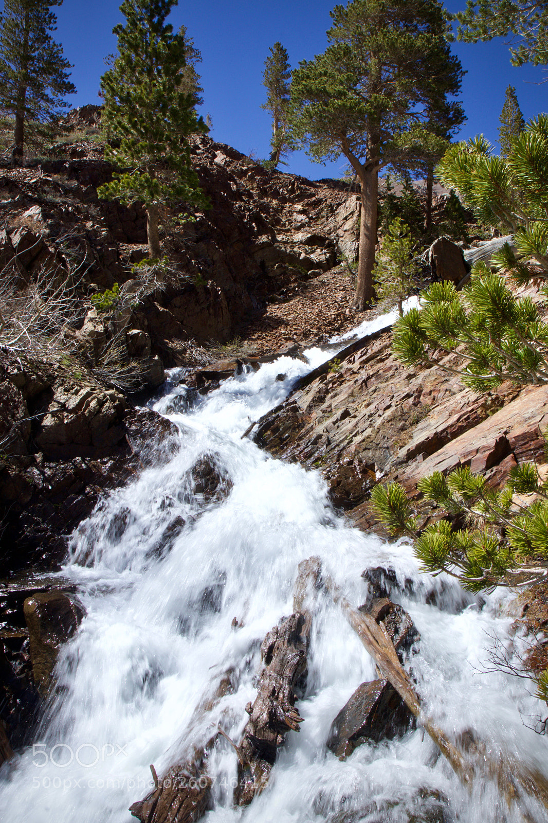 Canon EOS 80D sample photo. Virginia lakes inlet photography