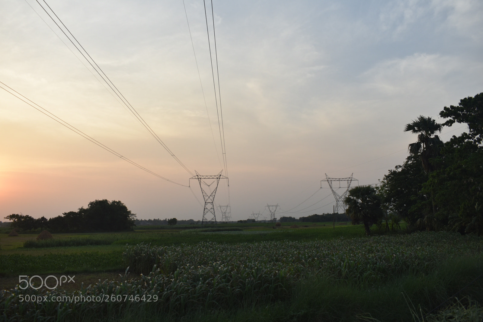 Nikon D3400 sample photo. Untitled photography
