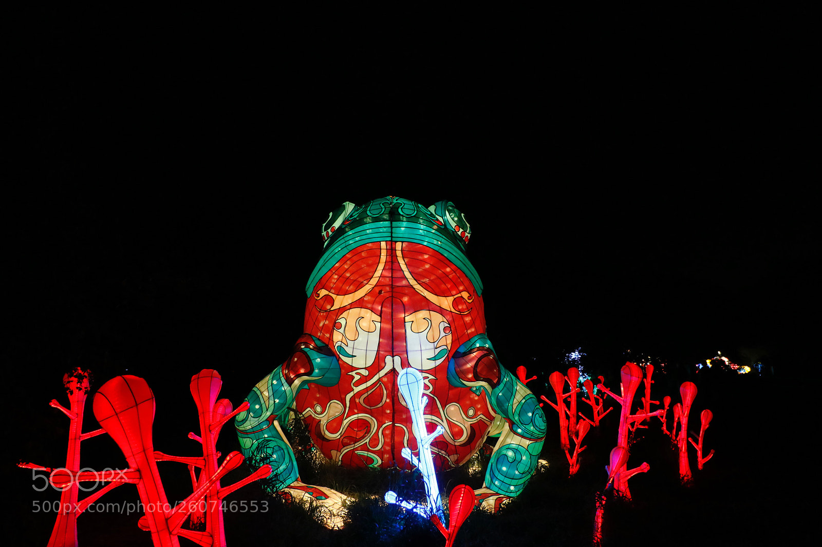 Canon EOS 80D sample photo. Frog lantern photography
