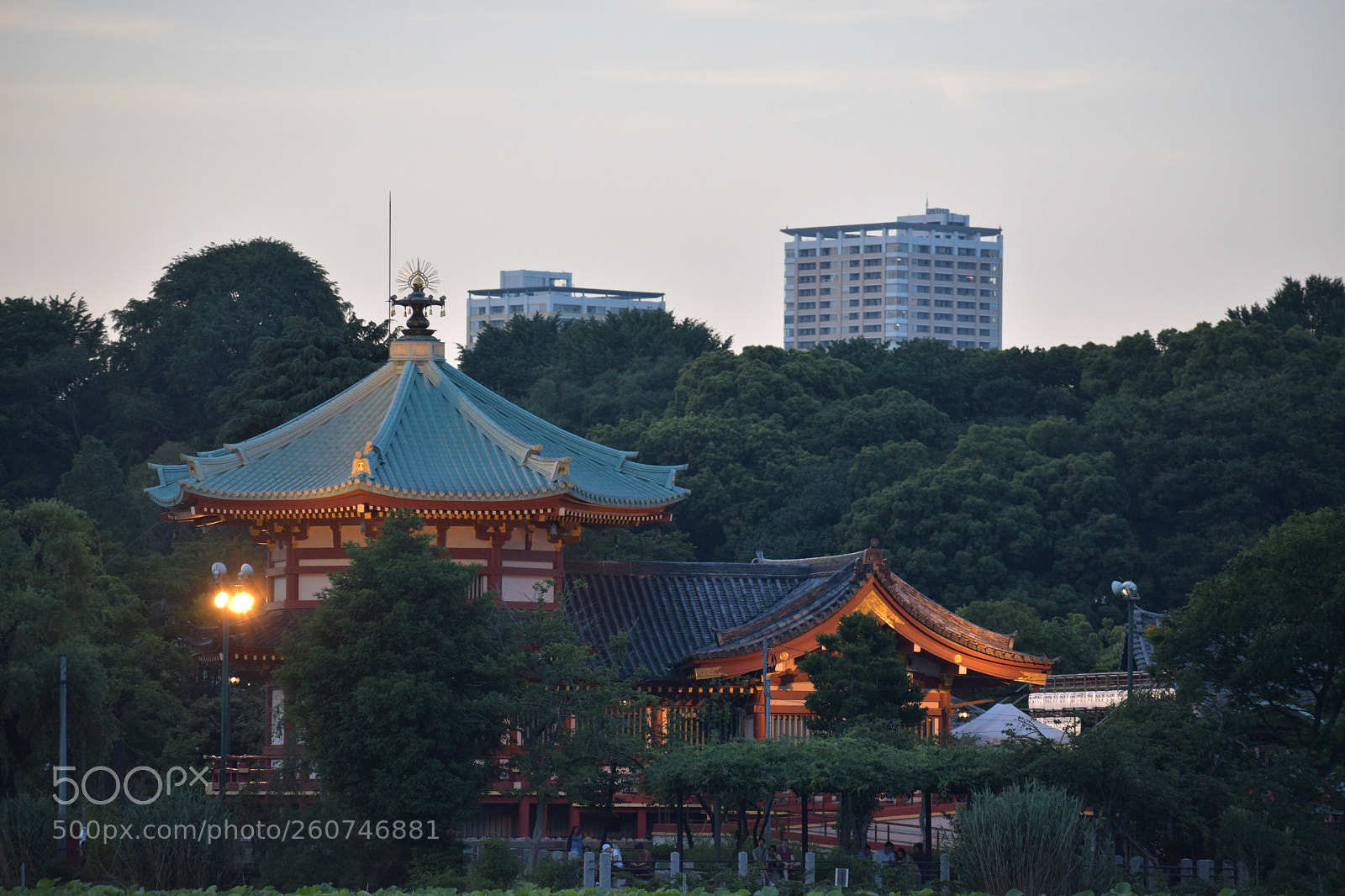 Nikon D5600 sample photo. Temple  photography