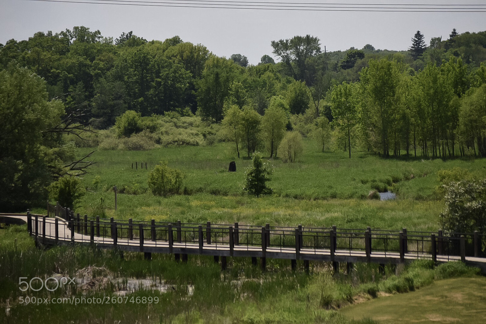 Nikon D3300 sample photo. Untitled photography