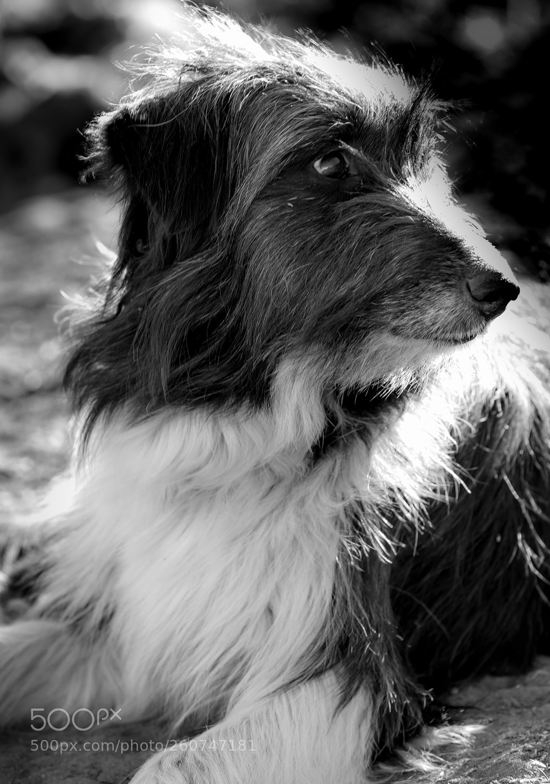 Nikon D750 sample photo. Quil_terri ii photography