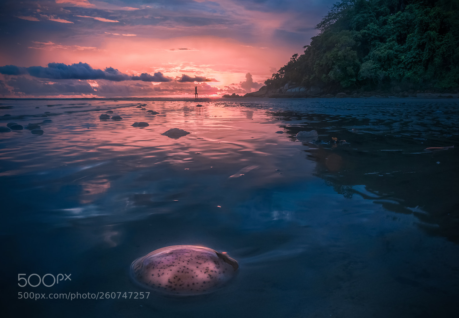 Nikon D3400 sample photo. Sunset,shangri-la s rasa ria photography