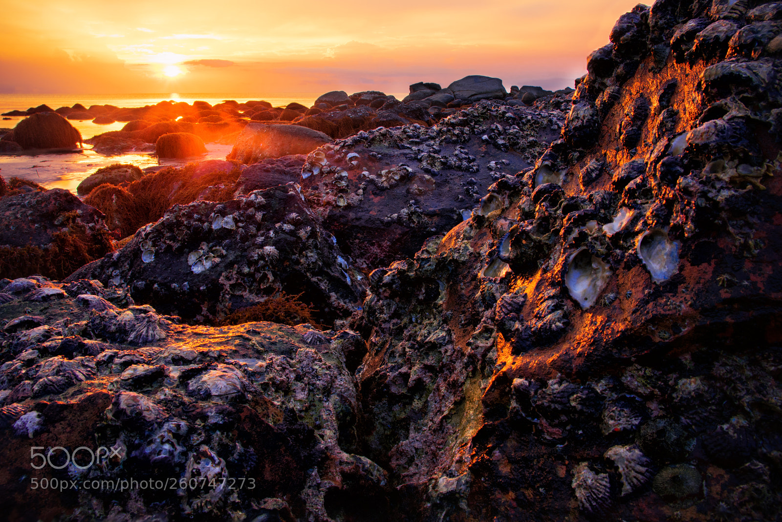 Nikon D3400 sample photo. Sunset,shangri-la s rasa ria photography