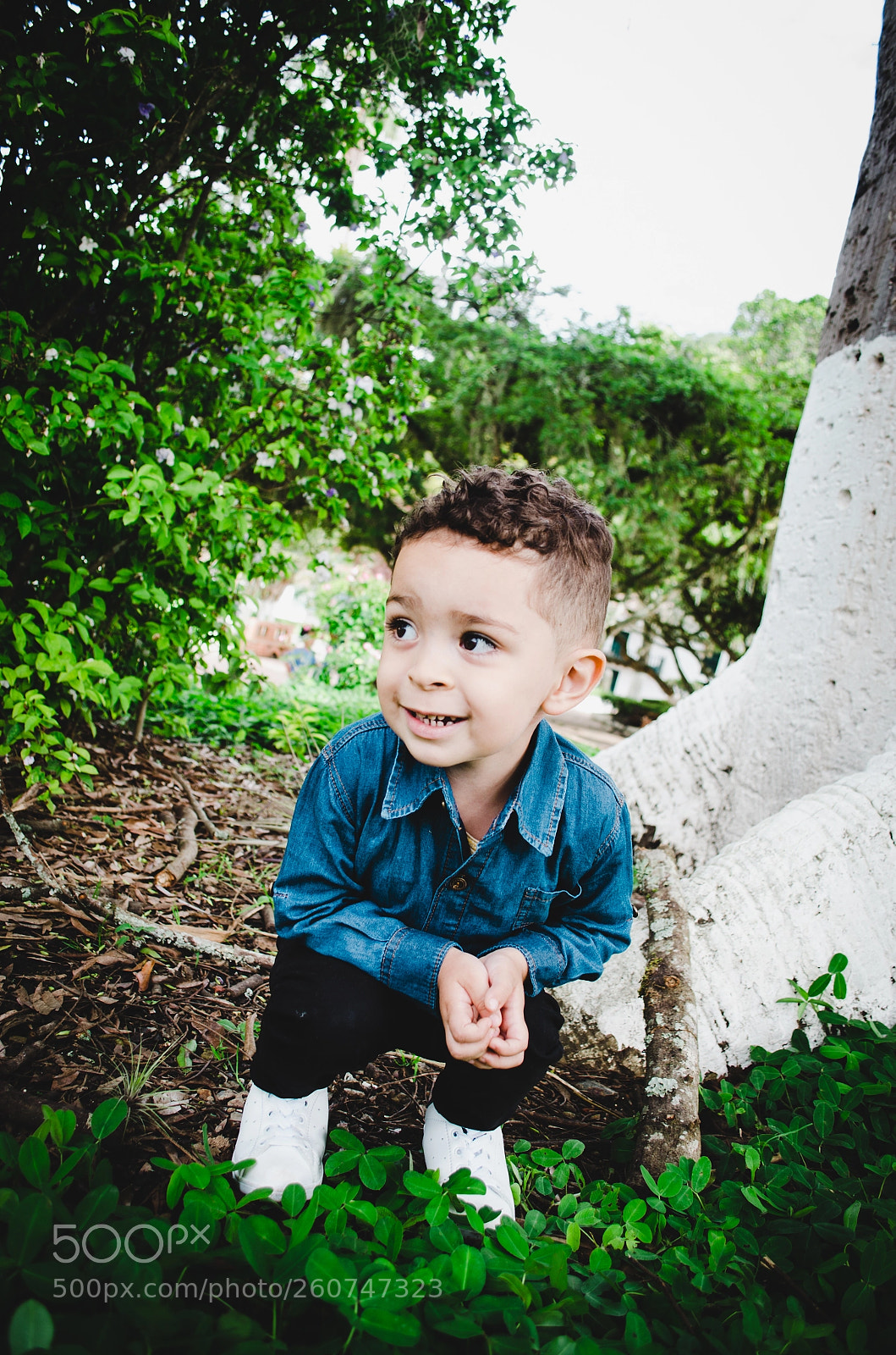 Nikon D5100 sample photo. He2 photography