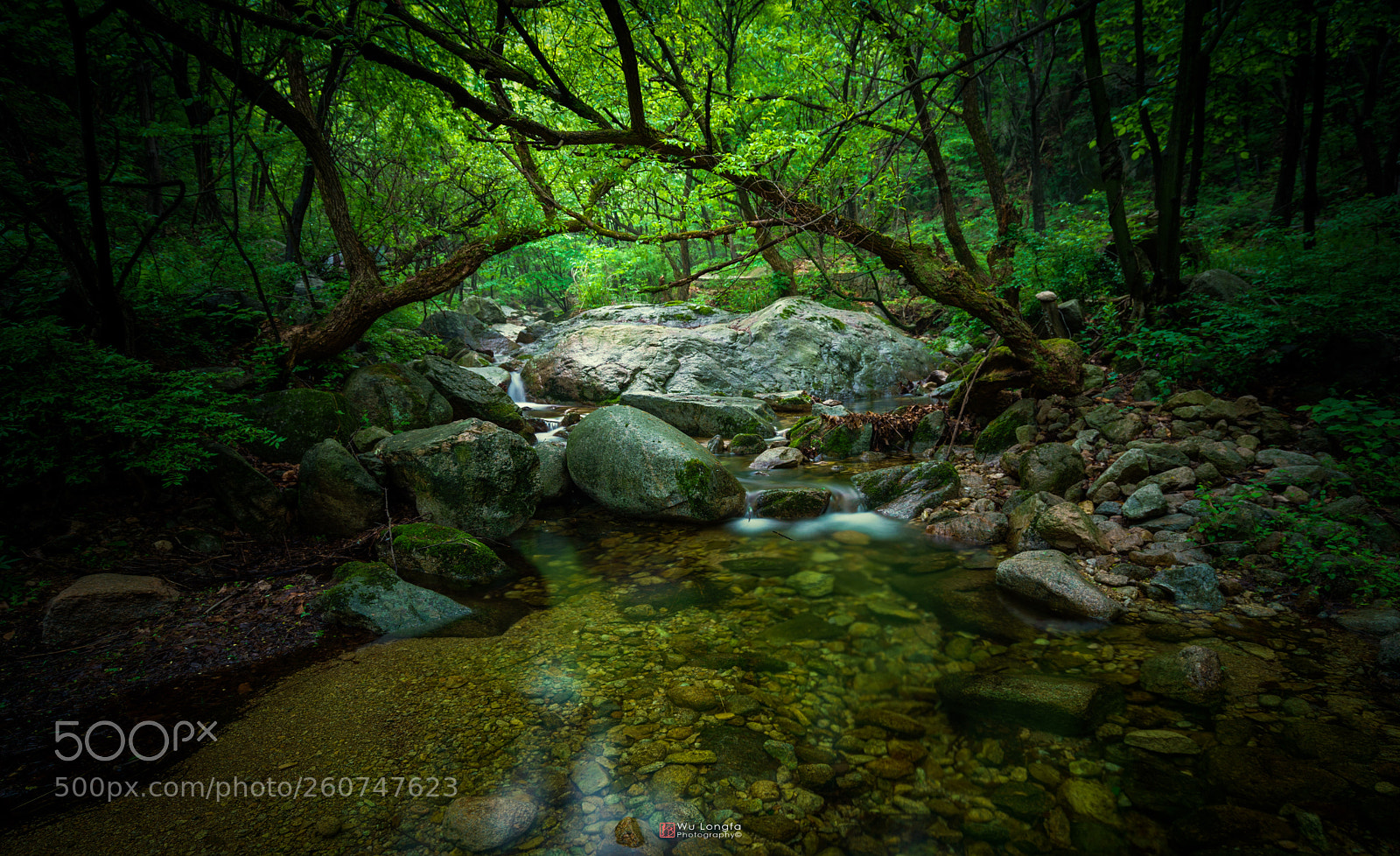 Sony a7 II sample photo. Stream photography