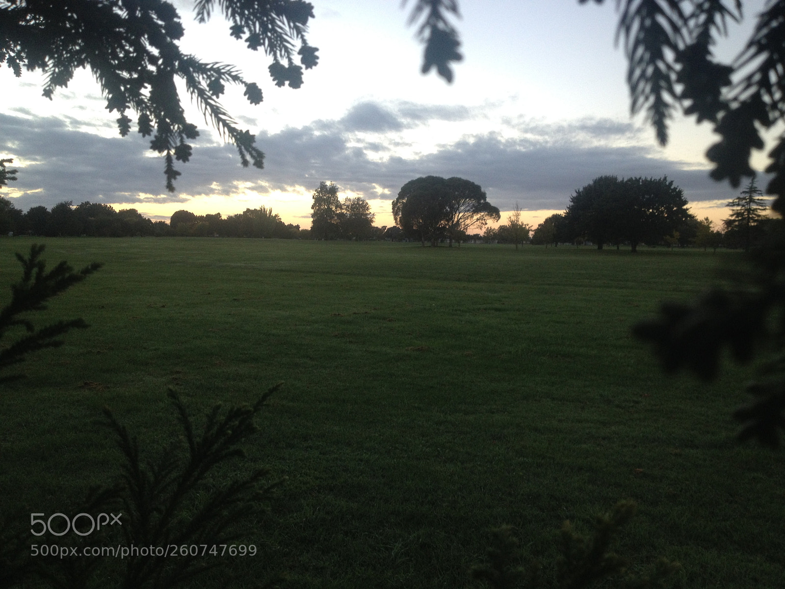 Apple iPhone 4S sample photo. Nature's frame photography