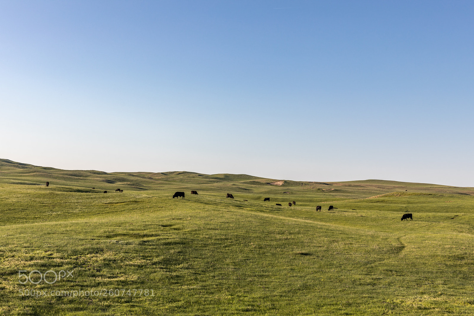 Canon EOS 5D Mark IV sample photo. Sandhills photography
