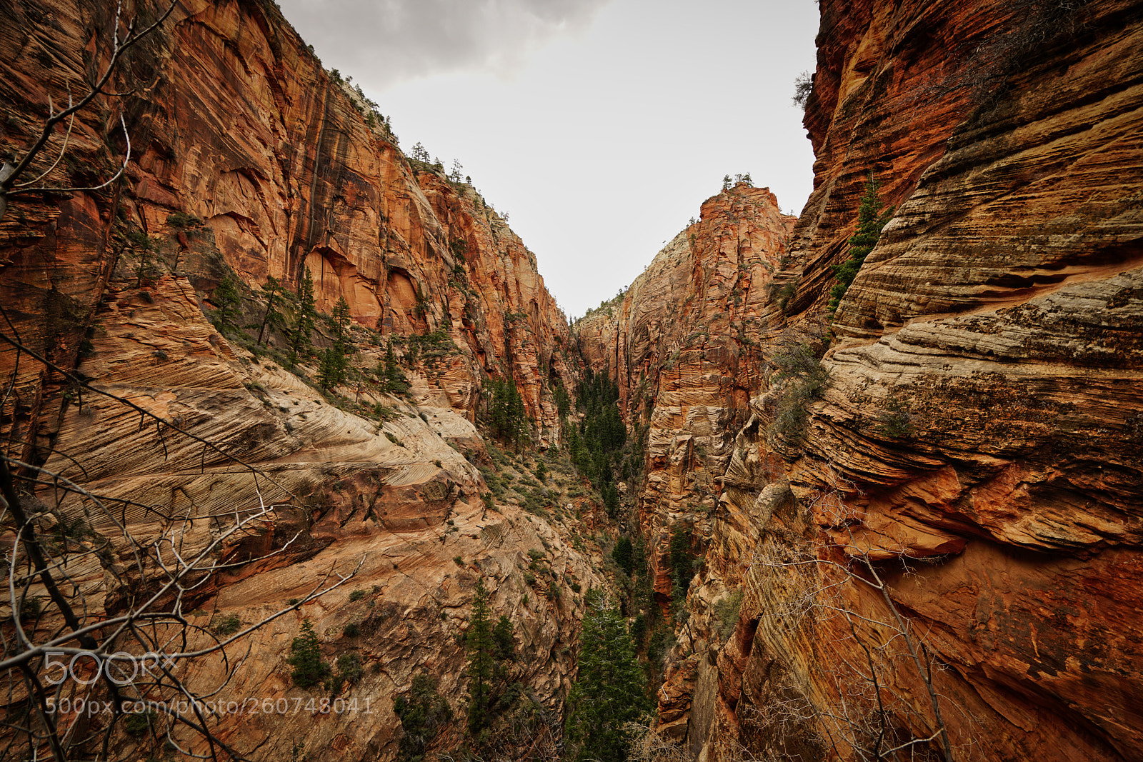 Sony a7R II sample photo. Zion national park! photography