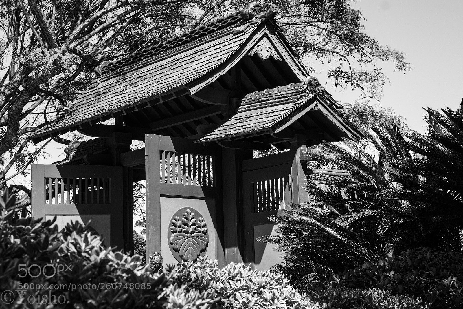 Fujifilm X-T2 sample photo. Untitled photography