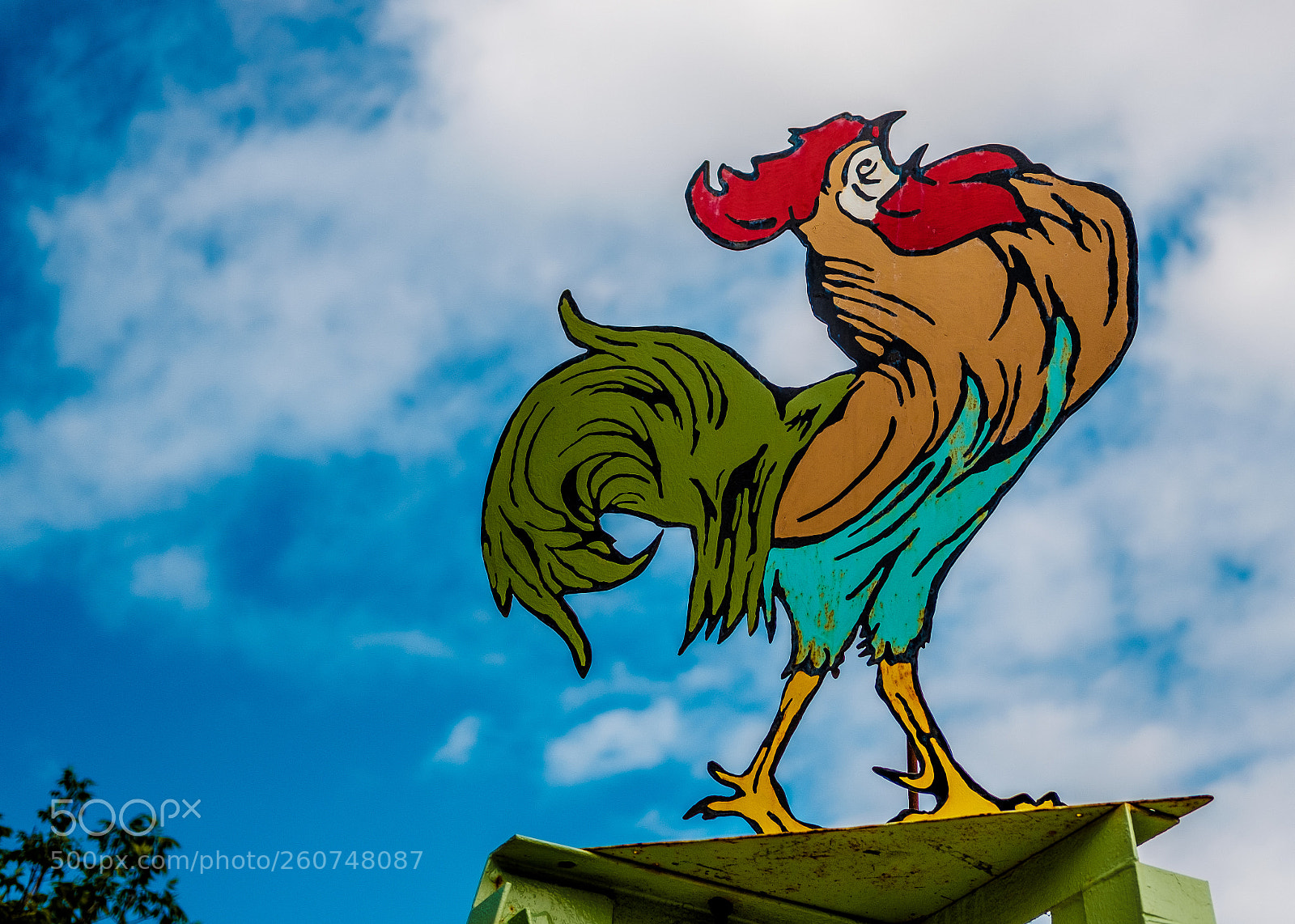 Fujifilm X-T2 sample photo. Public market rooster photography
