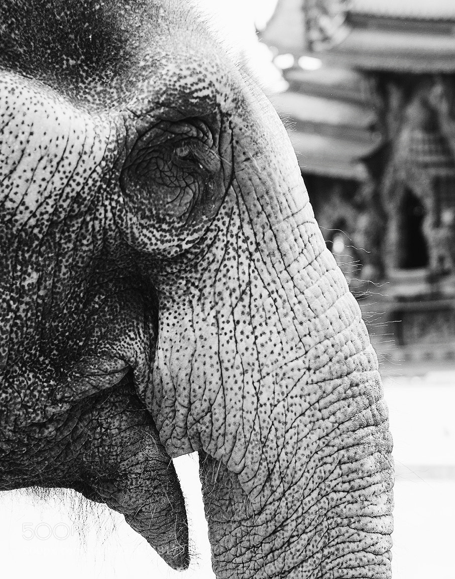 Fujifilm X-T10 sample photo. Amazing thailand photography