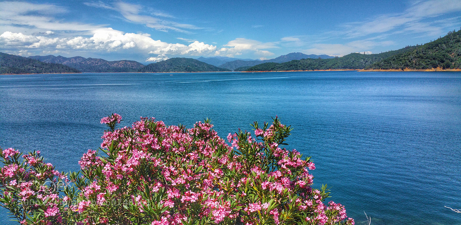 Samsung Galaxy Note4 sample photo. Shasta lake photography