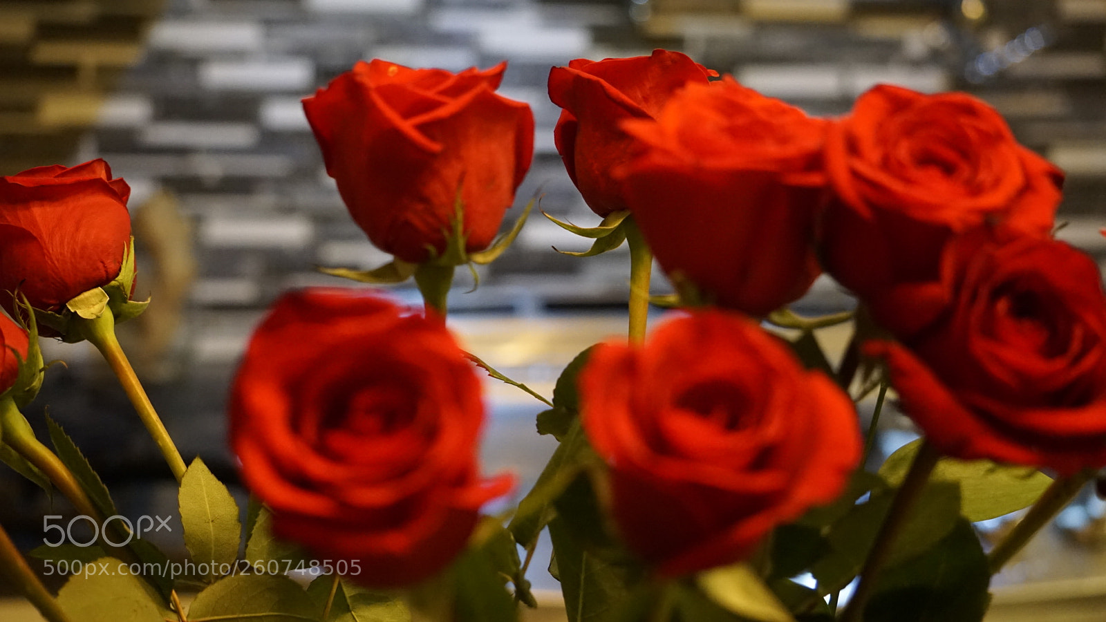 Sony a6000 sample photo. One can stand out photography