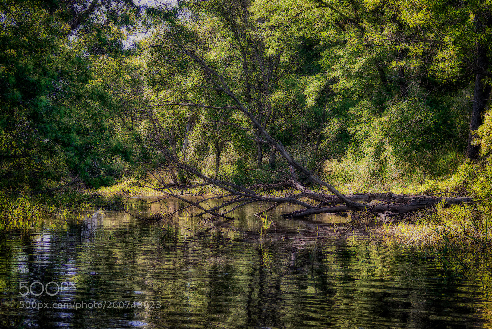 Pentax K10D sample photo. Chichaqua by kayak photography