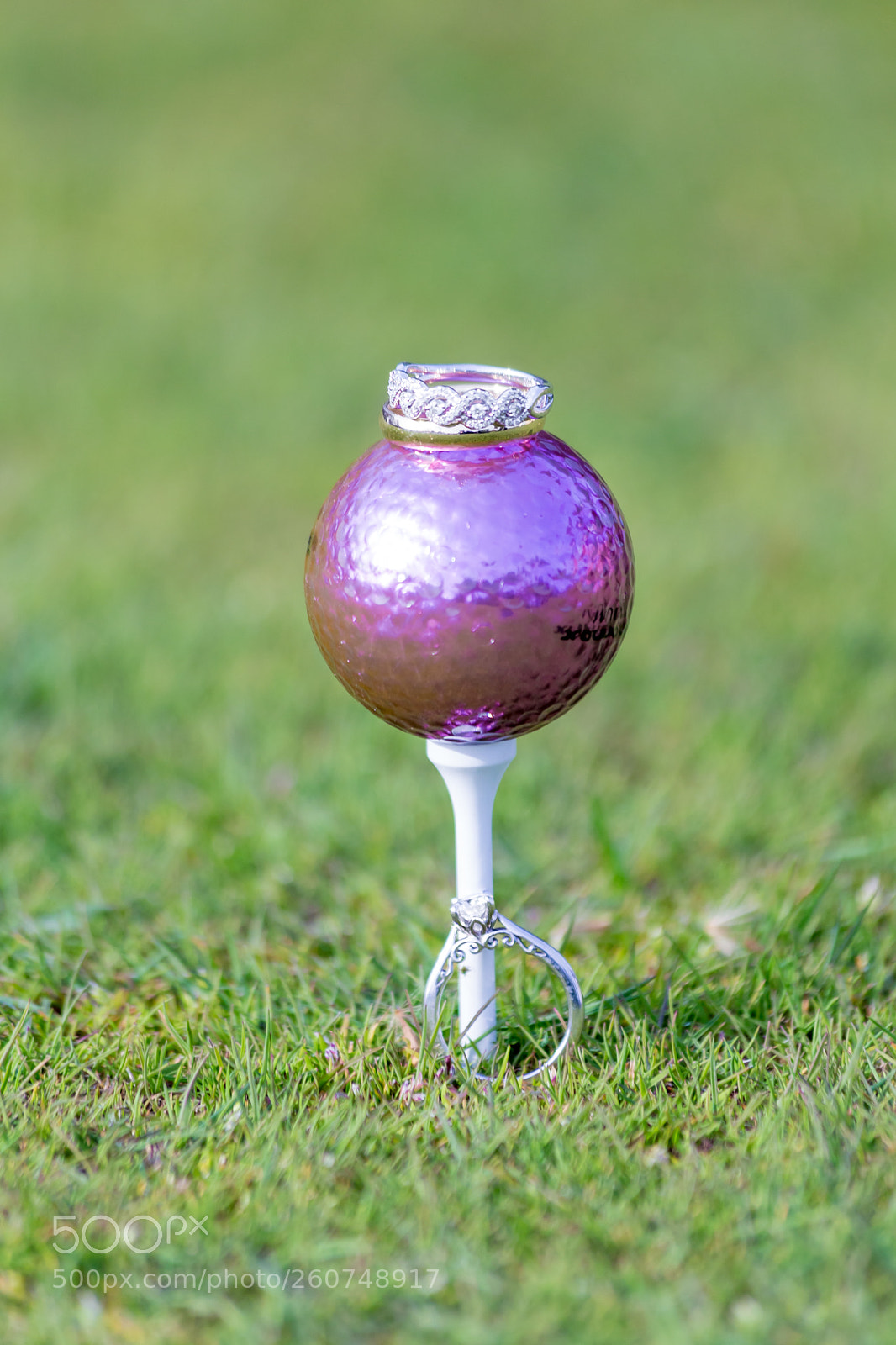 Canon EOS 6D sample photo. Bling on a ball! photography
