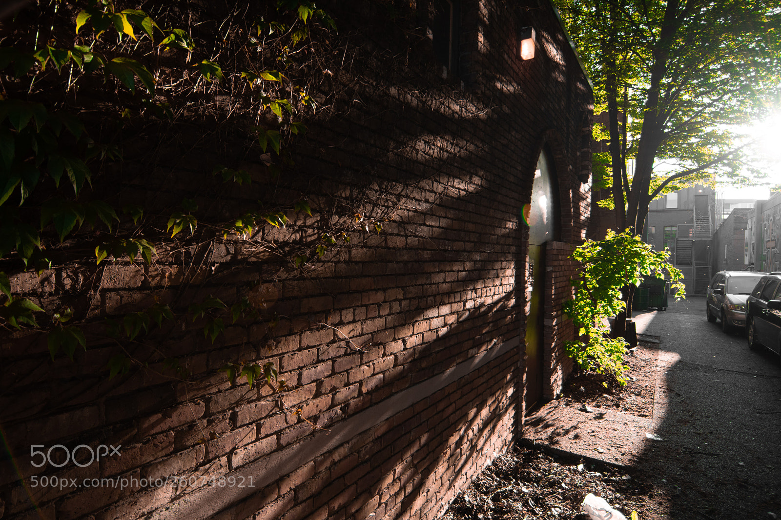 Nikon D3400 sample photo. Brick wall photography