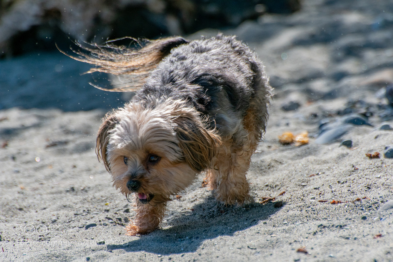 Nikon D3400 sample photo. Bella photography
