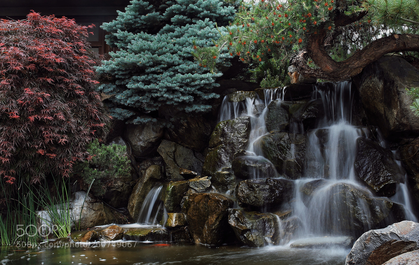 Canon EOS 6D sample photo. 002 photography