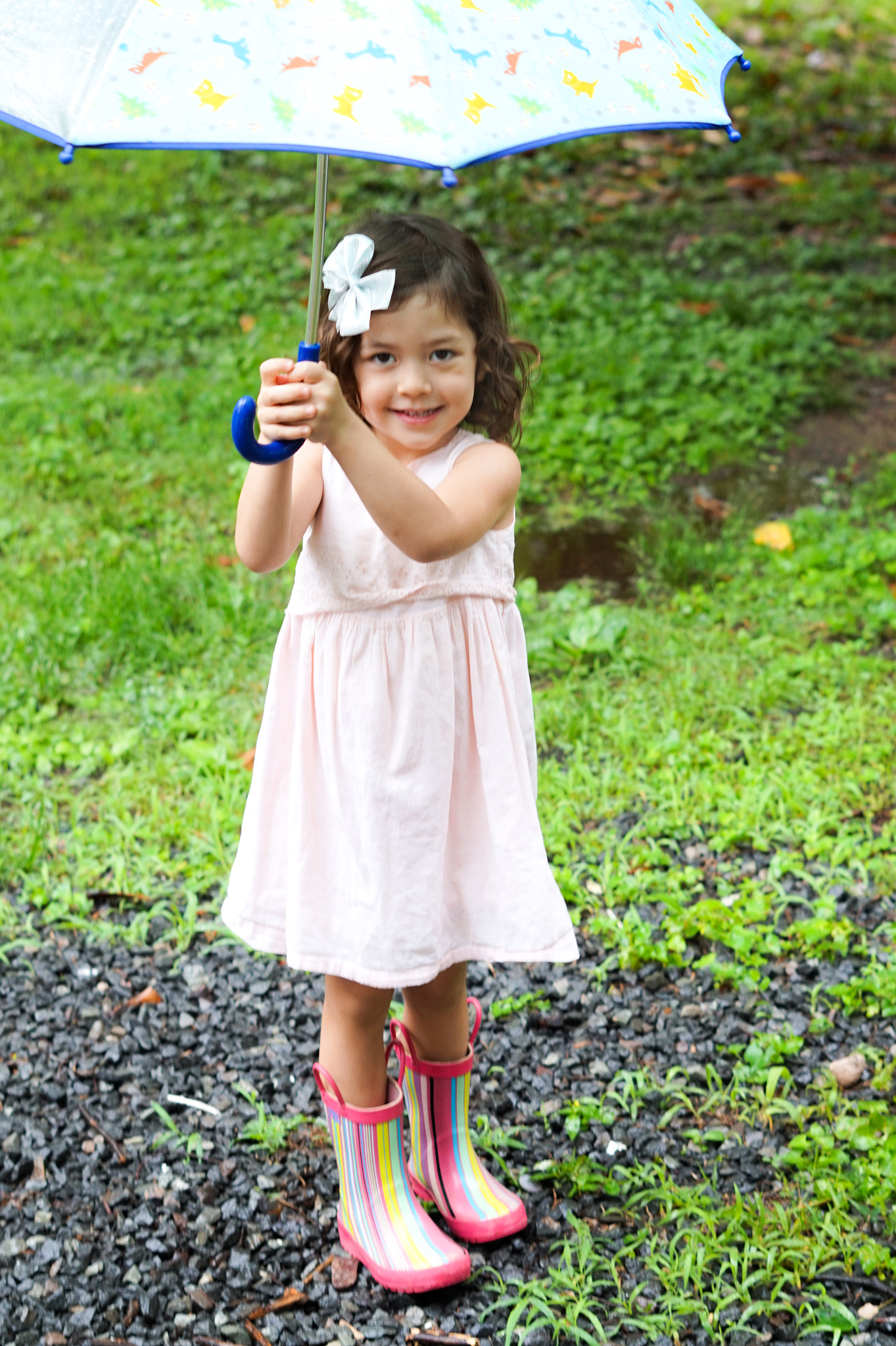 Sony Alpha a5000 (ILCE 5000) sample photo. Dsc photography