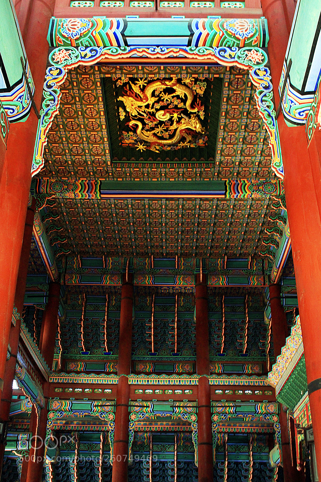 Canon EOS 700D (EOS Rebel T5i / EOS Kiss X7i) sample photo. Dragon ceiling photography