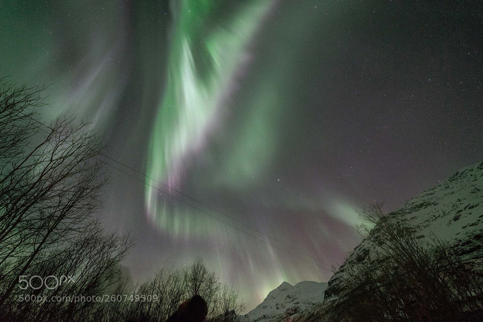 Nikon D610 sample photo. Aurora in norway laksvatn photography