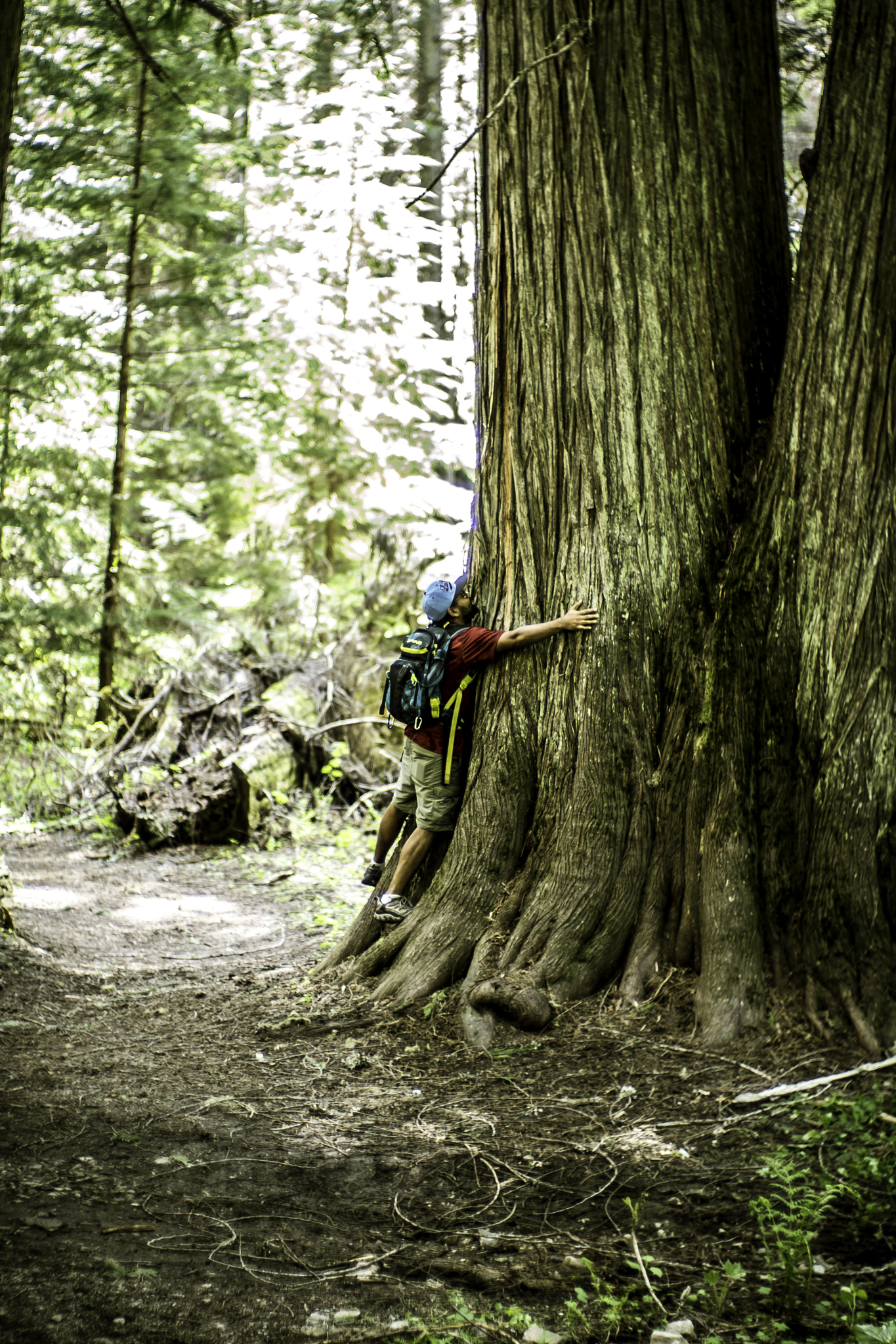 Sony a9 sample photo. Satish - the tree hugger. photography