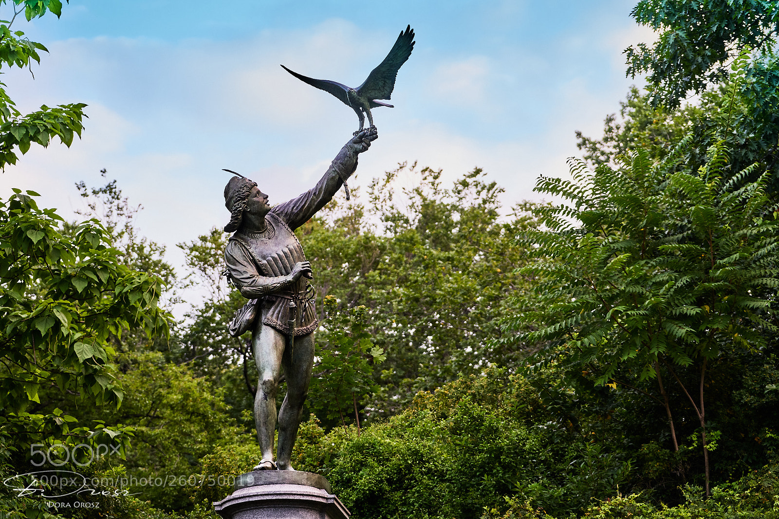 Sony a7R II sample photo. The falconer in central photography