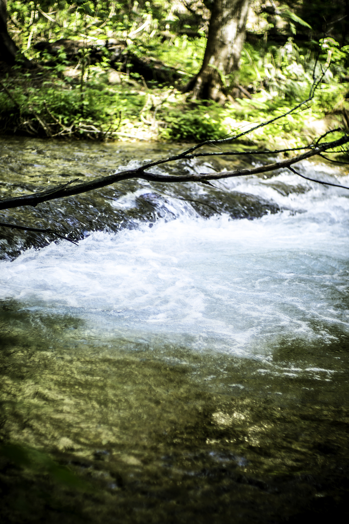 Sony a9 sample photo. Serenity. photography