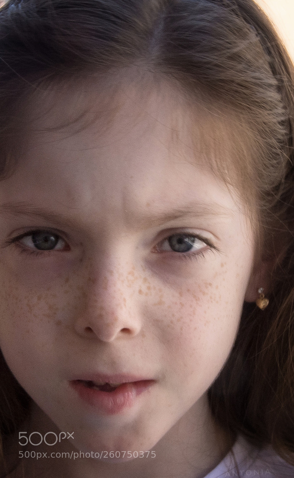 Nikon D7200 sample photo. Untitled photography