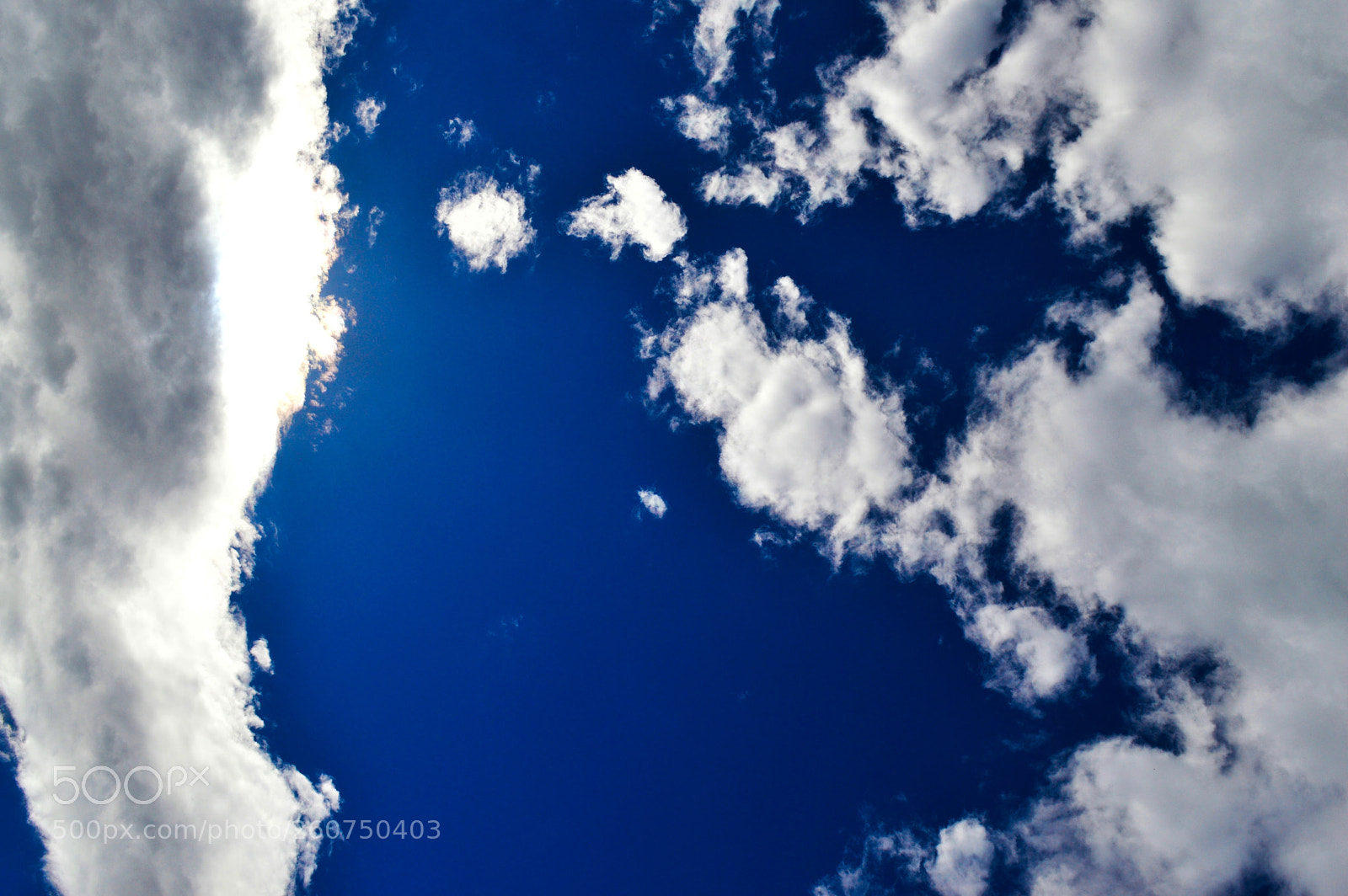 Nikon D3200 sample photo. Природа photography
