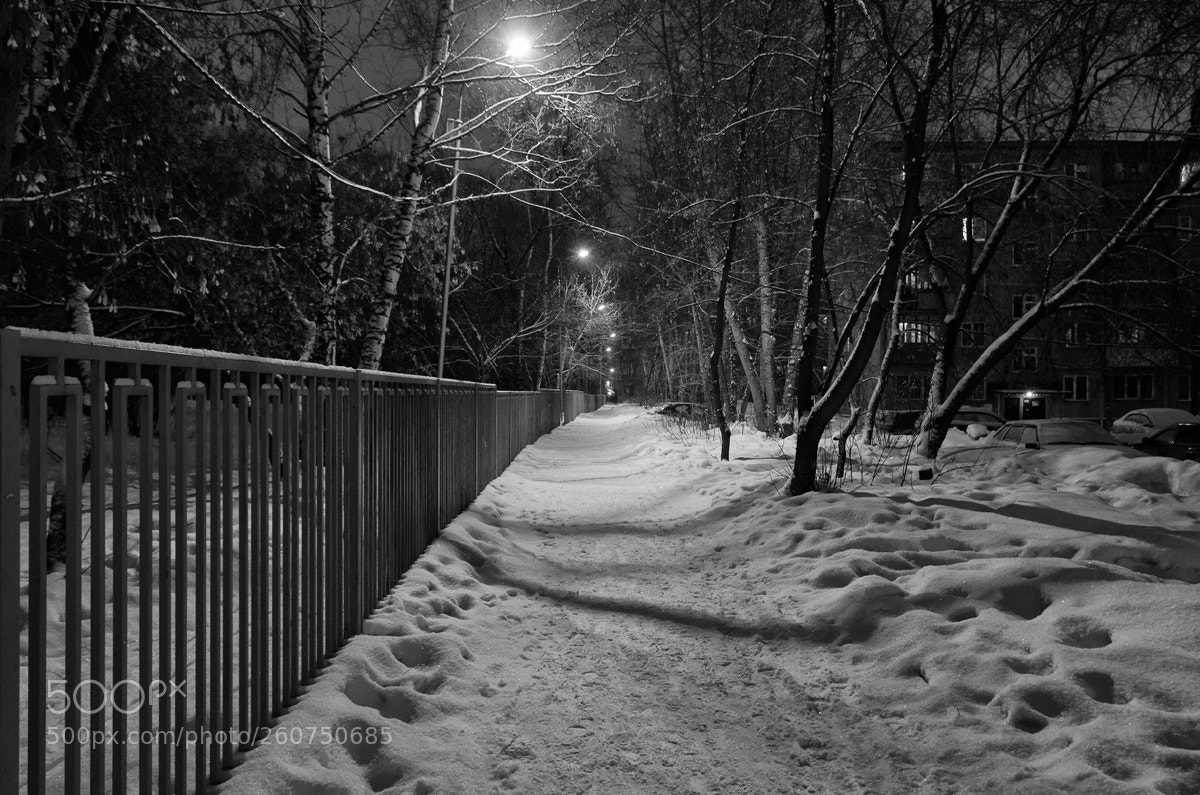 Nikon D7000 sample photo. Вечер photography
