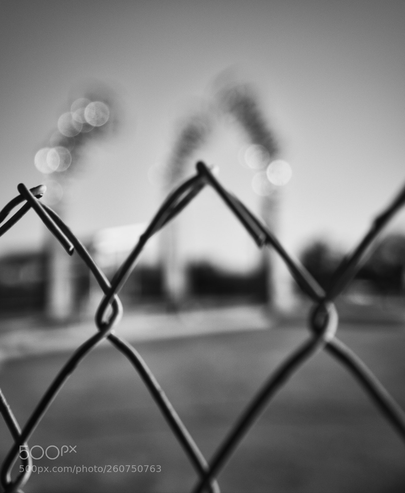 Sony a6500 sample photo. We don't need fences photography