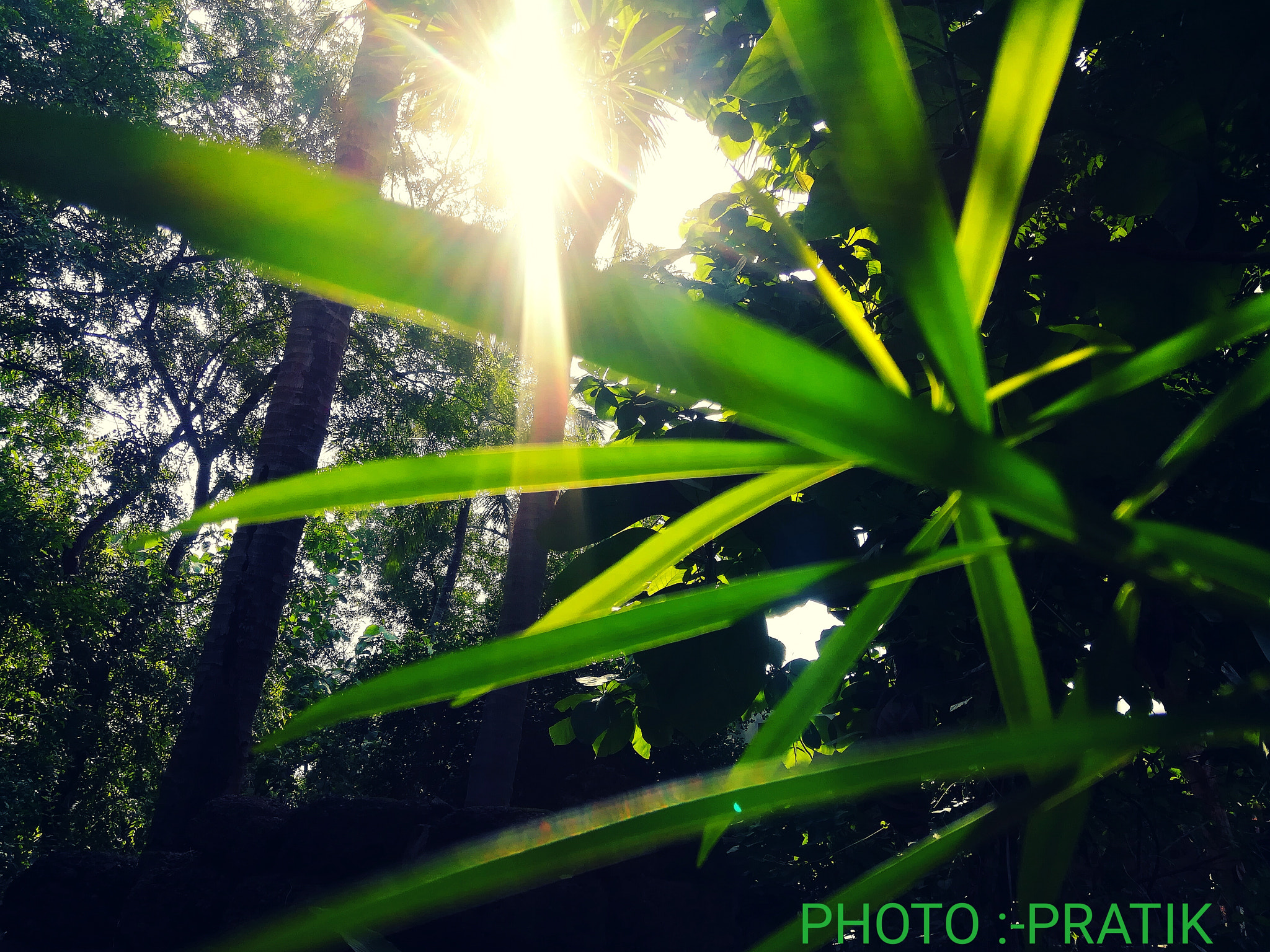 HUAWEI honor 6x sample photo