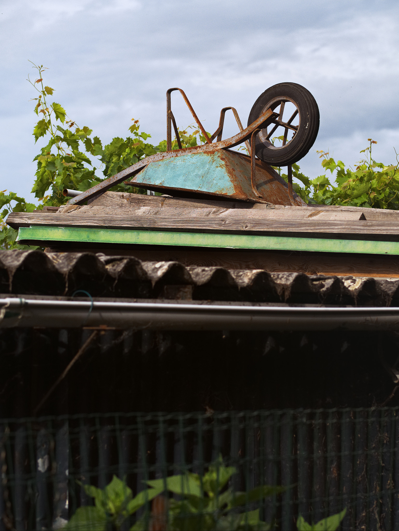 Panasonic Lumix DC-GX9 sample photo. Le printemps dans les jardins photography