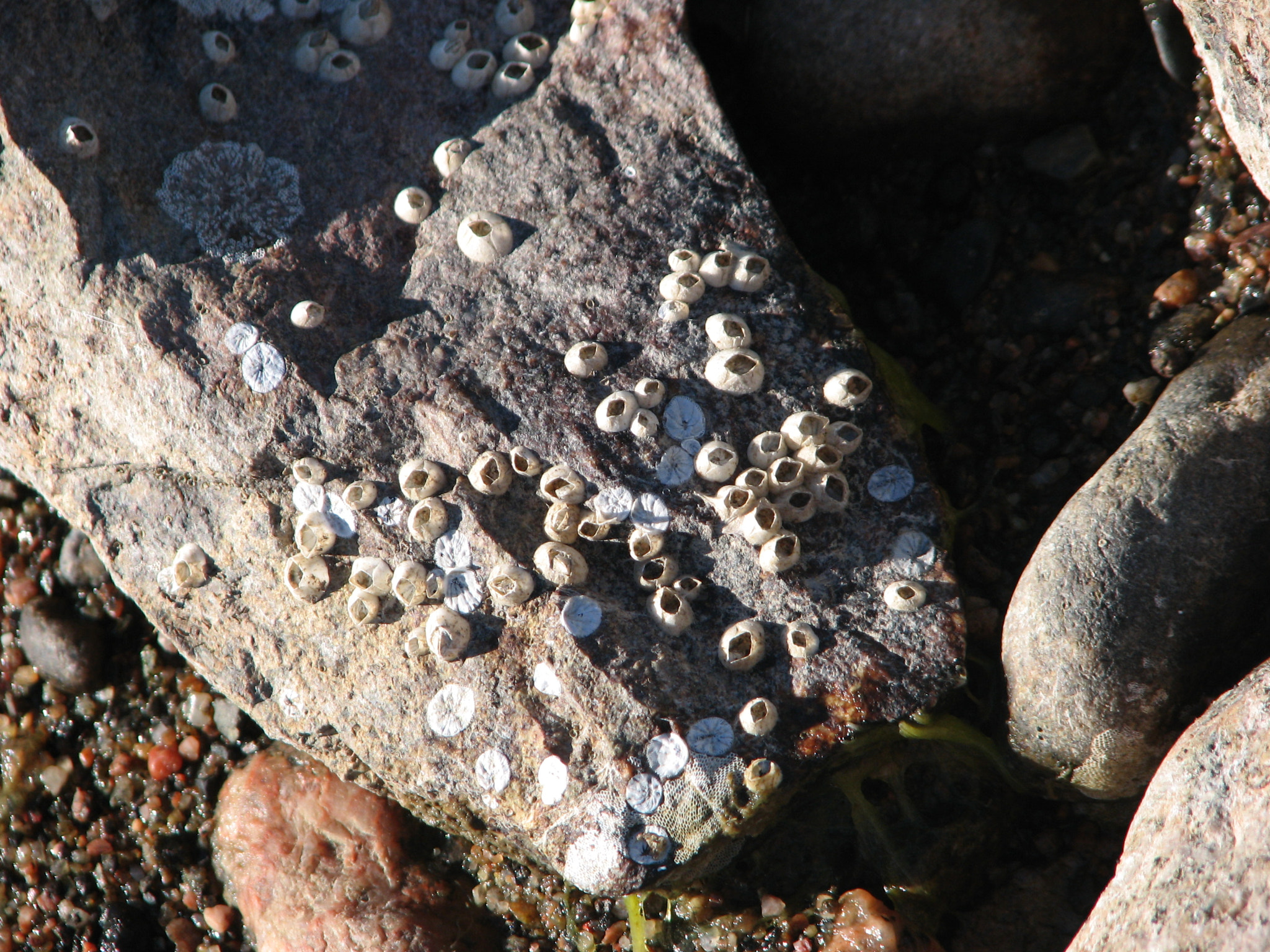 Canon POWERSHOT S3 IS sample photo. Stone photography