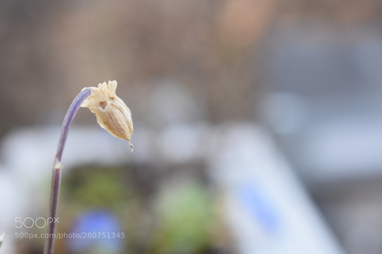 Nikon D3400 sample photo. :/ photography