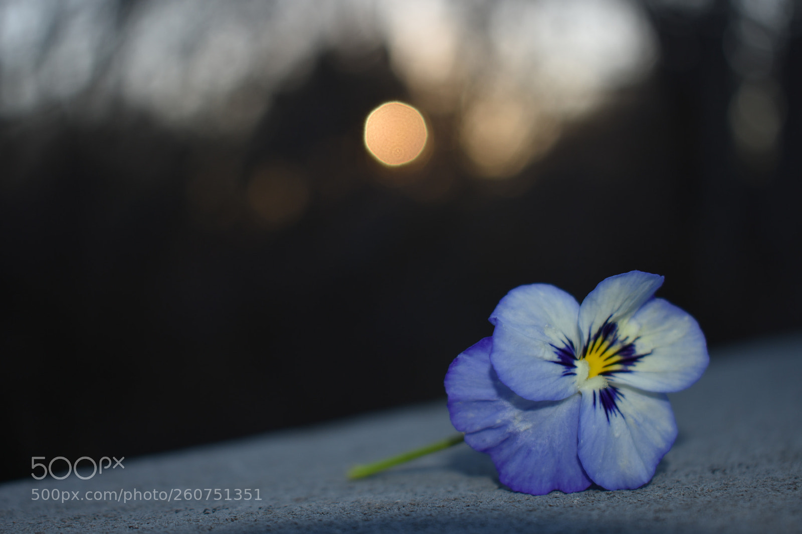 Nikon D3400 sample photo. . photography