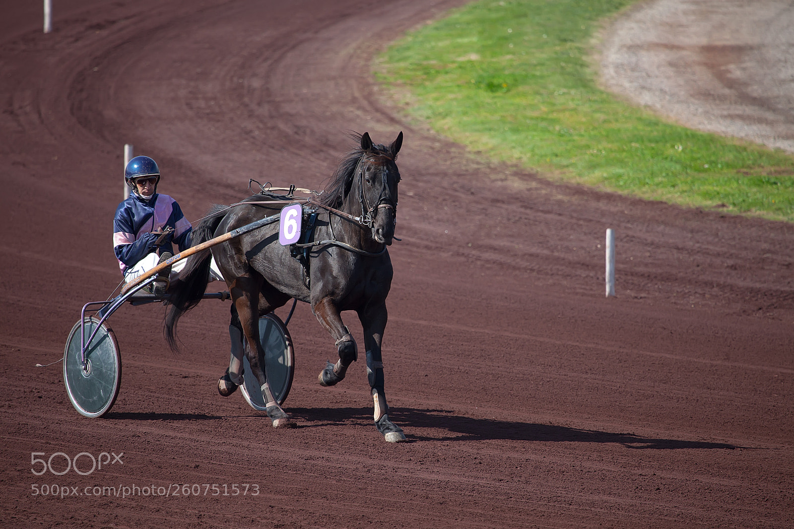 Canon EOS 5D Mark II sample photo. Ben hur photography
