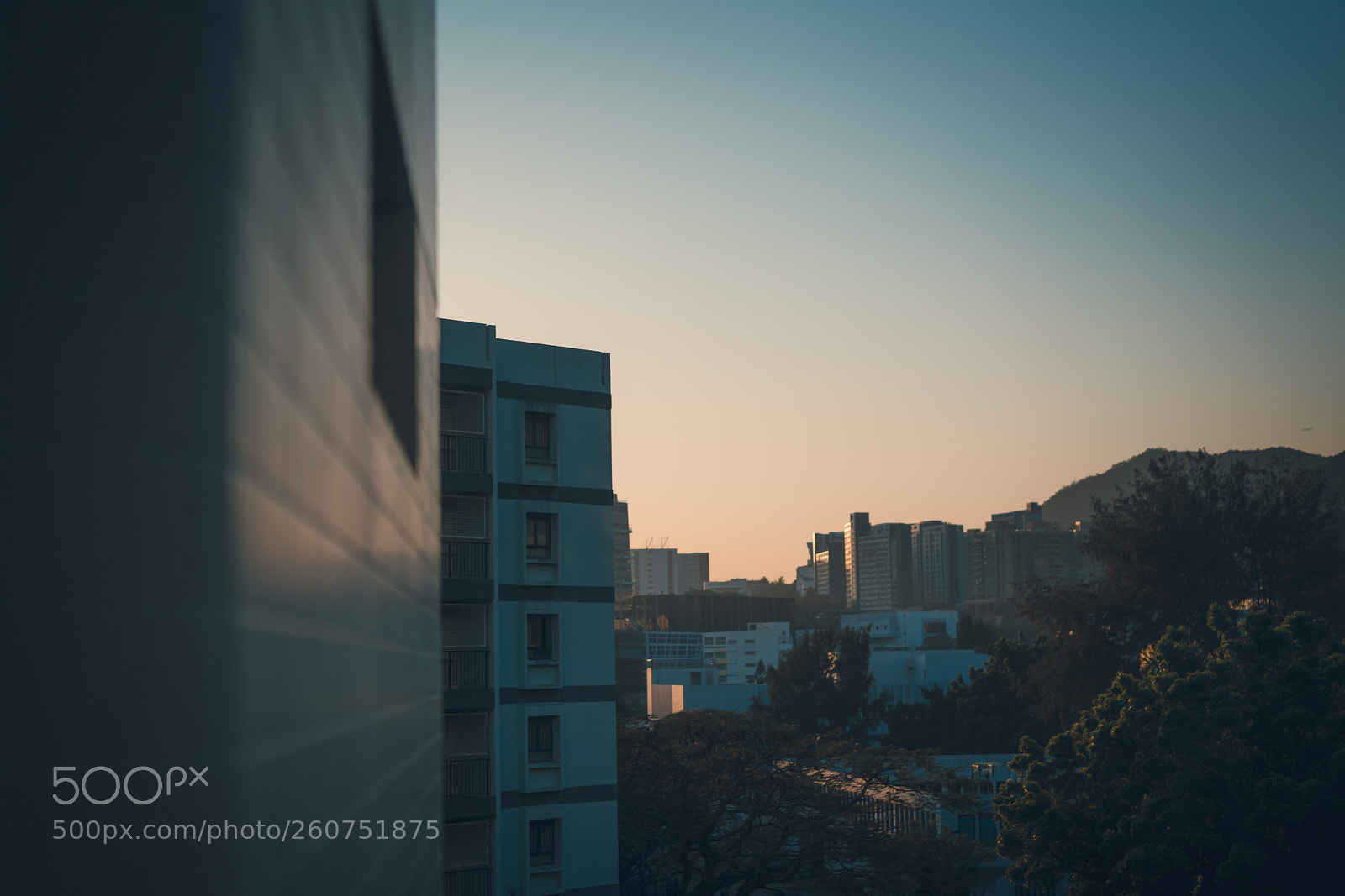 Sony a7R II sample photo. Untitled photography
